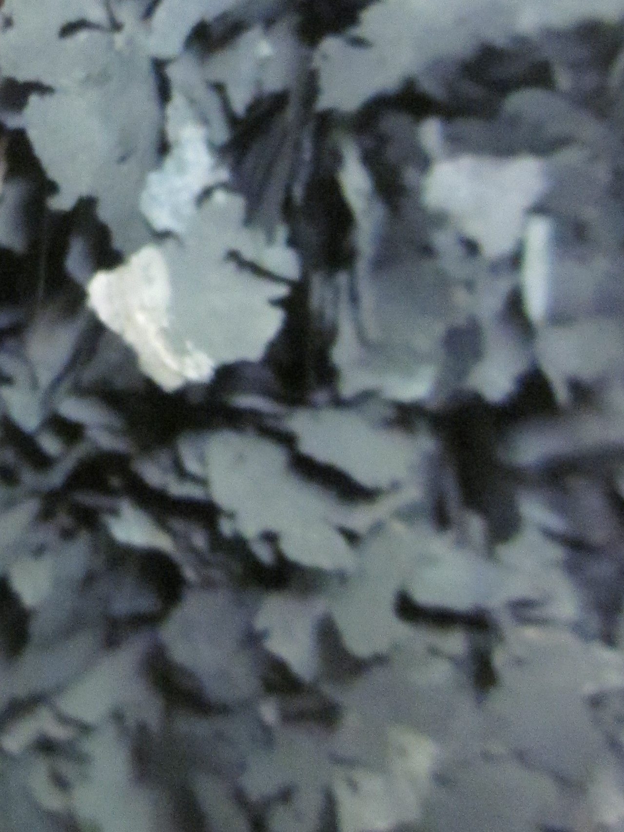 Zoomed-in flaky dust